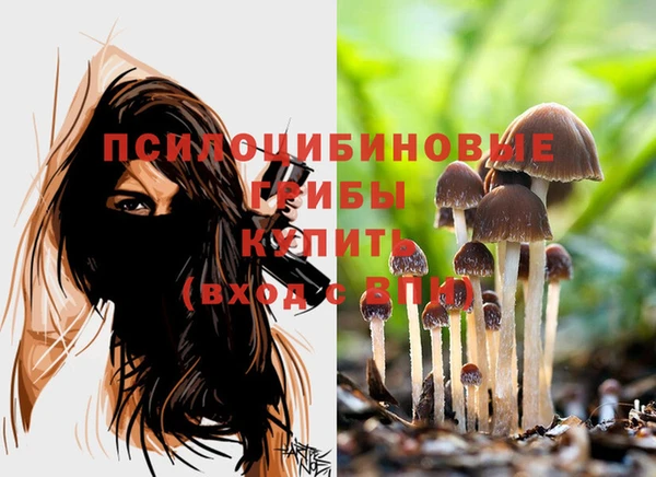не бодяженный Волоколамск