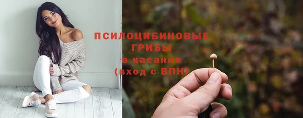не бодяженный Волоколамск
