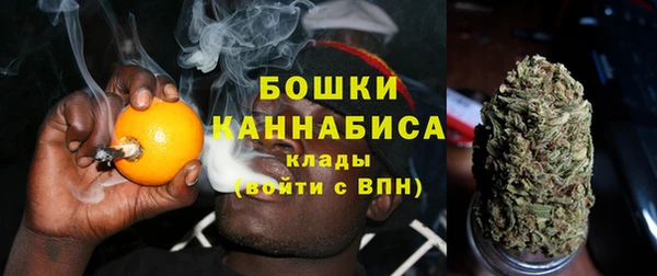 шишки Волосово